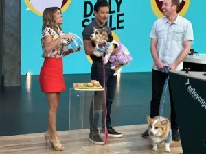 Hammy & Olivia Take Hollywood by Storm